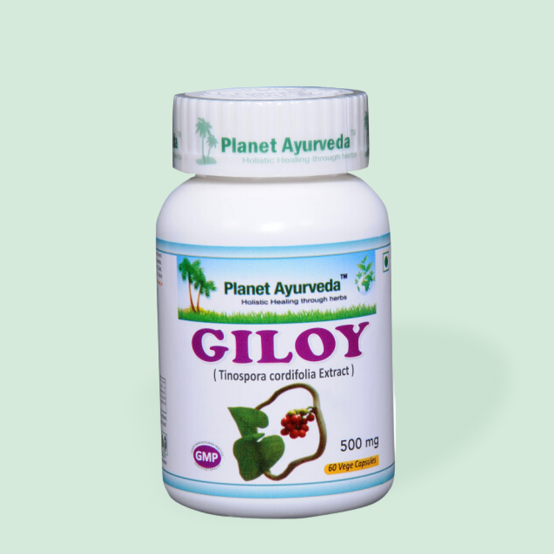 Giloy Guduchi -kapselit